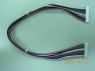 Wire Harness 0001 ( Wire Harness 0001)